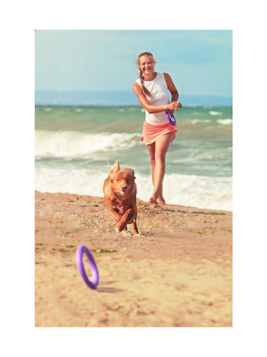Puller Frisbee Σκύλου 20εκ. Μωβ 2τμχ