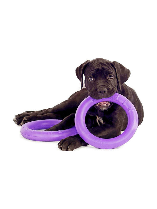Puller Frisbee Σκύλου 20εκ. Μωβ 2τμχ