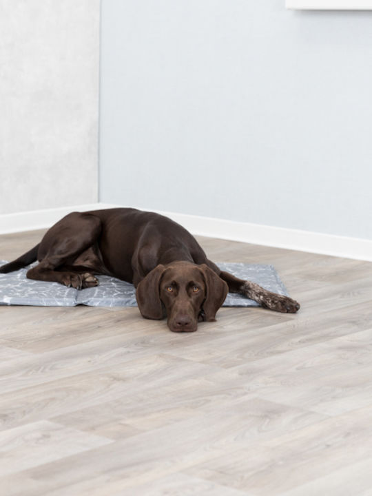 Trixie Cooling Mattress Dog Rectangle Cooling Gray 110x70cm