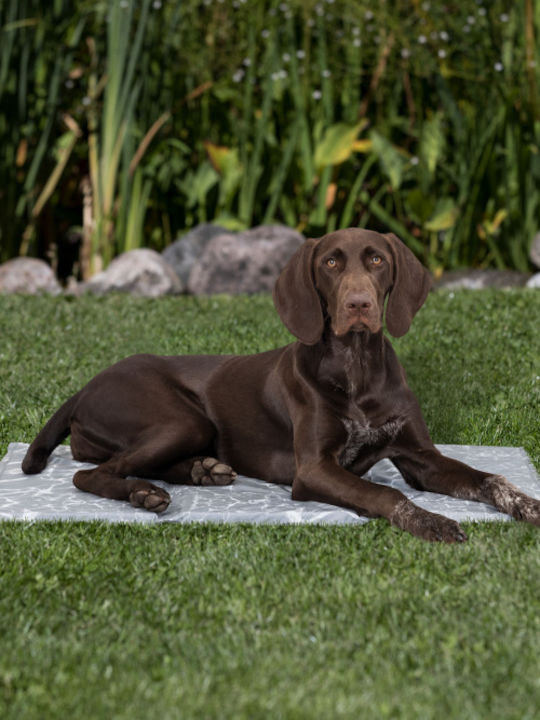 Trixie Cooling Mattress Dog Rectangle Cooling Gray 110x70cm
