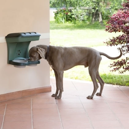 Bama Kunststoff Schale mit Behälter Futter & Wasser für Hund & Katze 2x 42cm in Grün Farbe