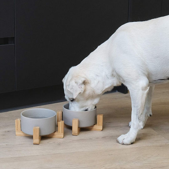 Navaris Keramik Schalen Futter & Wasser für Hund & Katze auf Basis von 550ml in Grau Farbe 2Stück