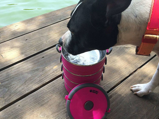 Healthy Human On The Go Pet Bento Stainless Steel Food and Water Bowl for Dog and Cat 450ml 2 Pieces