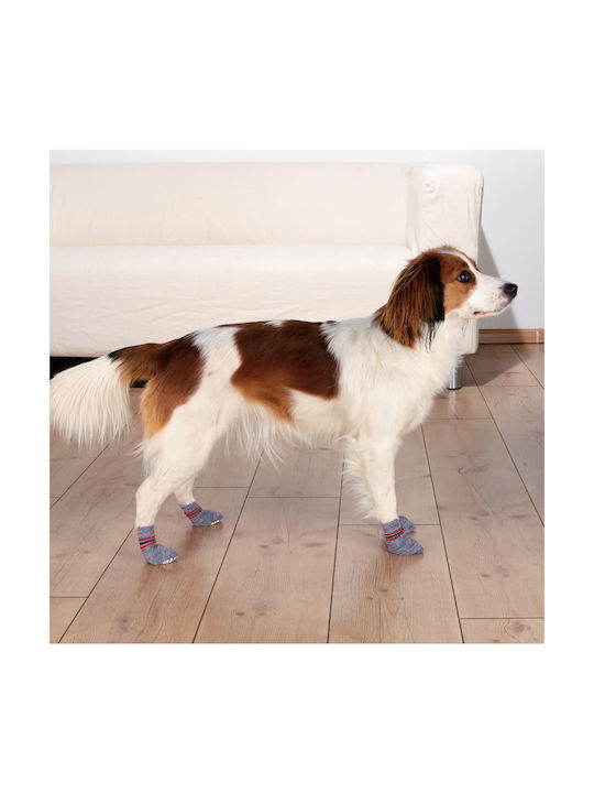 Trixie Socks Dog Non-Slip Socks Gray/Red Large/XLarge 2pcs in Gray Color