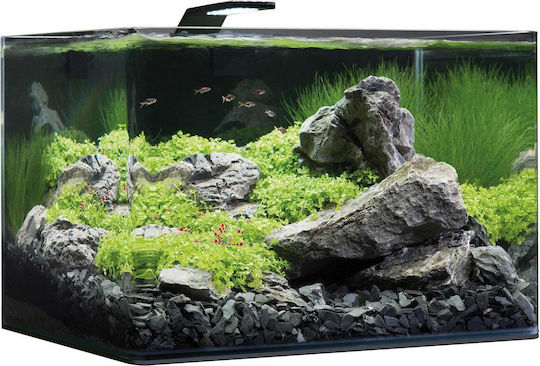 Dennerle Nano Scrapers Tank Fish Aquarium Capacity 55lt with 45x36x34cm