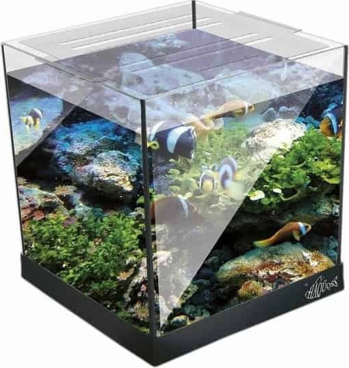 Haquoss Nanokubus Fish Aquarium Capacity 8lt with Lighting, Filter and 25x20x20cm