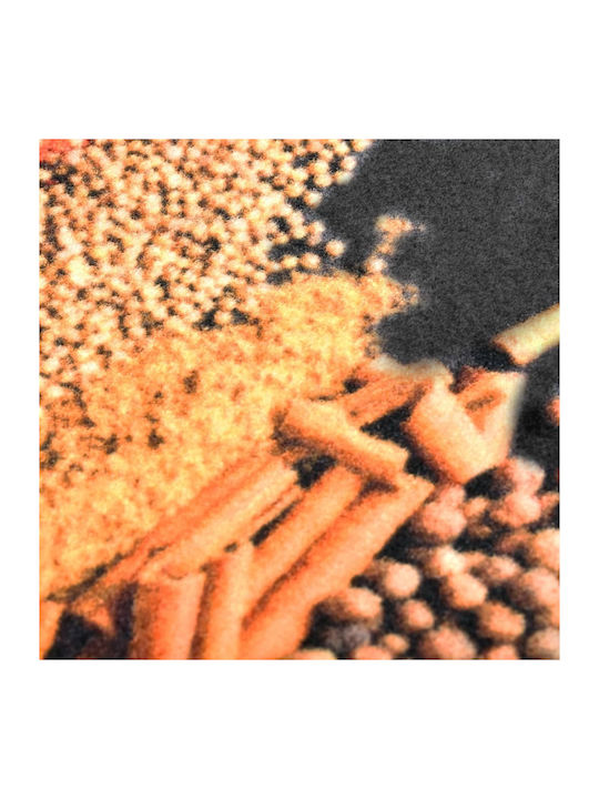 vidaXL Spices Kitchen Mat Runner with Anti-slip Underlay Multicolour 60x300εκ.