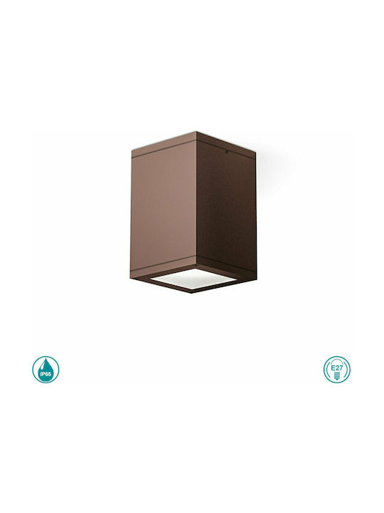 Gea Luce Amon Waterproof Outdoor Ceiling Spot in Brown Color GES1012