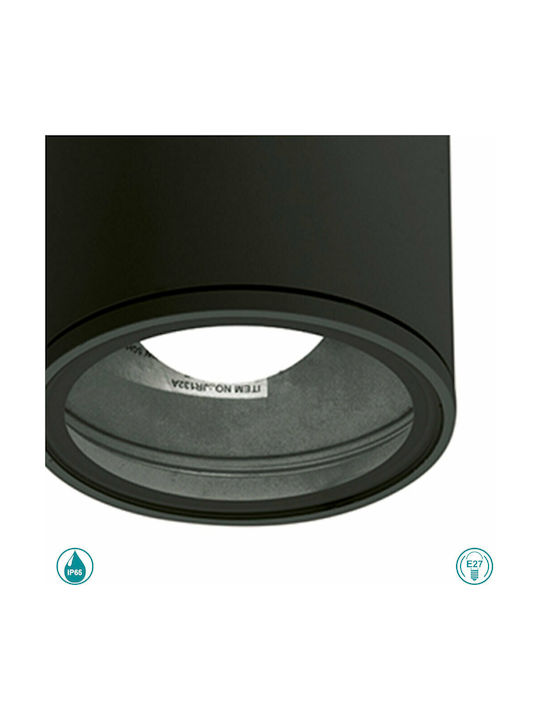 Gea Luce Amon Waterproof Outdoor Ceiling Spot in Black Color GES1000