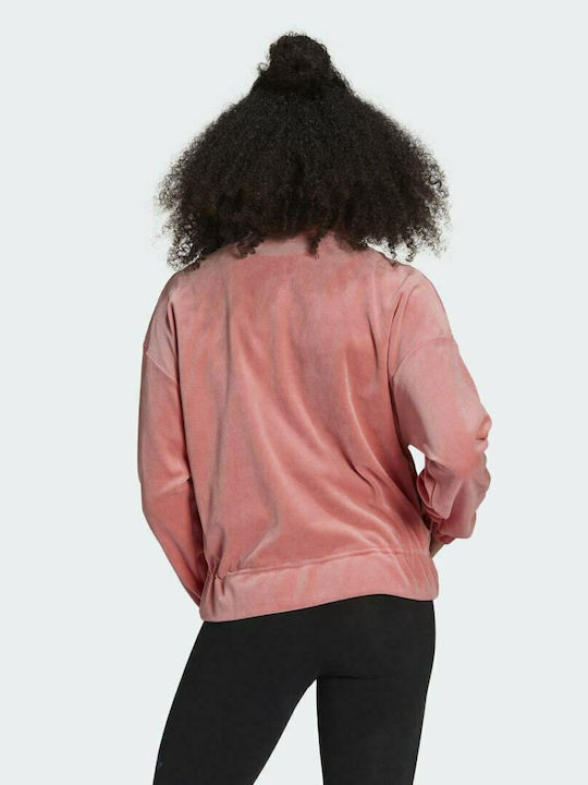 Adidas Women's Hooded Cardigan Hazy Rose