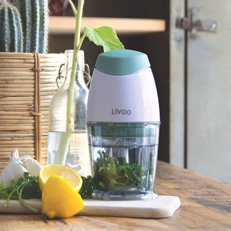 Livoo Πολυκόπτης Multi 160W με Δοχείο 250ml