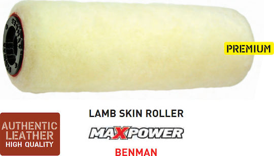 Benman Replacement Roll Painting 18cm MaxPower