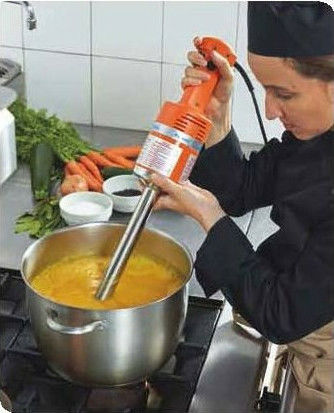 Dynamic Senior MX 300 Commercial Hand Blender 350W with Shaft 300mm