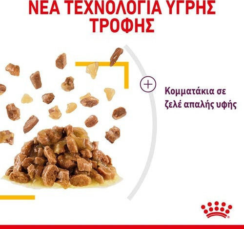 Royal Canin Sensory Taste Jelly Wet Food for Adult Cats in Pouches with Chicken 85gr