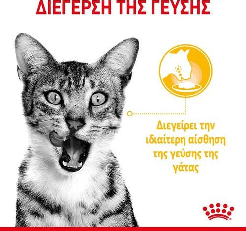 Royal Canin Sensory Taste Jelly Wet Food for Adult Cats in Pouches with Chicken 85gr