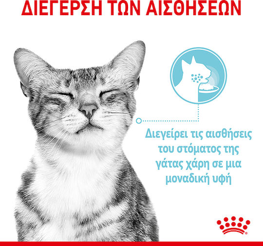 Royal Canin Sensory Feel Jelly Wet Food for Adult Cats in Pouches with Poultry 85gr