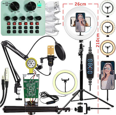 Next Condenser (Large Diaphragm) XLR Microphone Live Streaming & Video Combo Set Shock Mounted/Clip On Mounting Voice in Blue Color