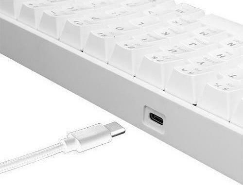 White Shark Shinobi Gaming Mechanical Keyboard 60% With Outemu Red Switches And RGB Lighting English US White