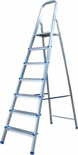 Profal Super Ladder Aluminum with 4+1 Steps