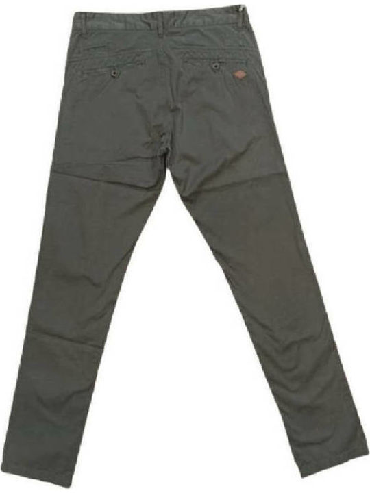Herrenhosen Chinos Regulär Passform Olive