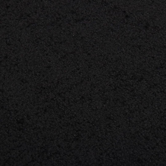 vidaXL Entrance Mat Carpet with Anti-slip Backing Black 80x120cm