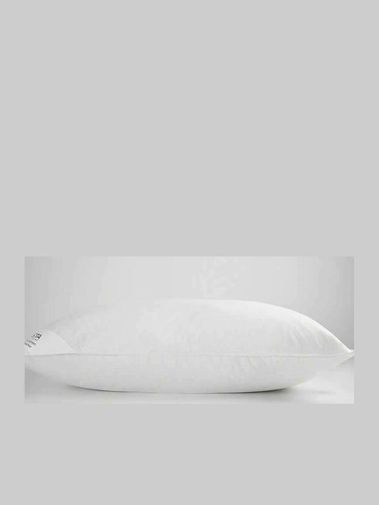 Vesta Home Royal Feathered Bed Pillow 60x80cm