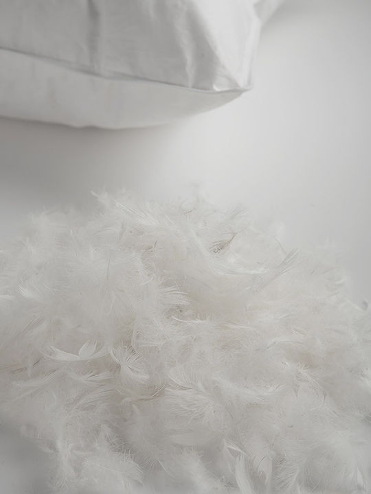 Vesta Home Royal Feathered Bed Pillow 60x80cm