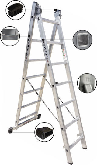 Profal Dublu Scara combinata Aluminiu 2x10