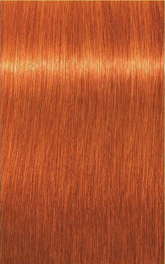 Schwarzkopf Igora Royal Βαφή Μαλλιών 8-77 Ξανθό Ανοιχτό Έντονο Χάλκινο 60ml