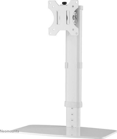 Newstar Tabletop Suport Monitor până la 30" Albă (FPMA-D890WHITE)