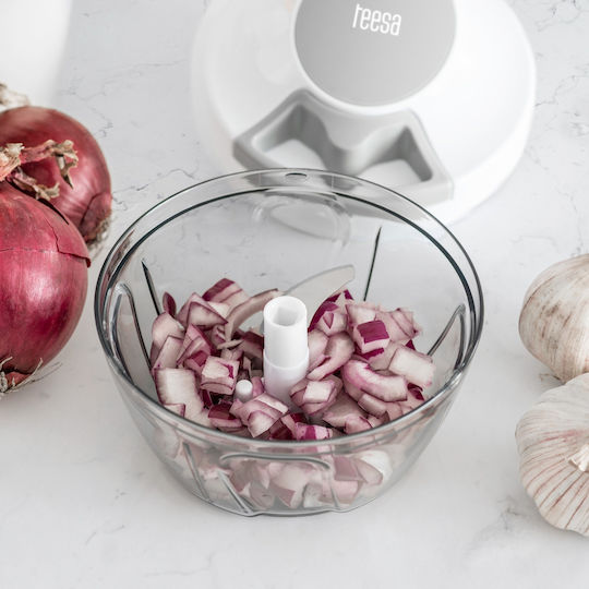 Teesa Plastic Vegetable Chopper Manual