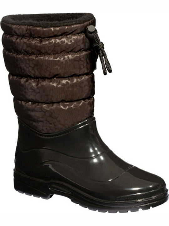 Scholl