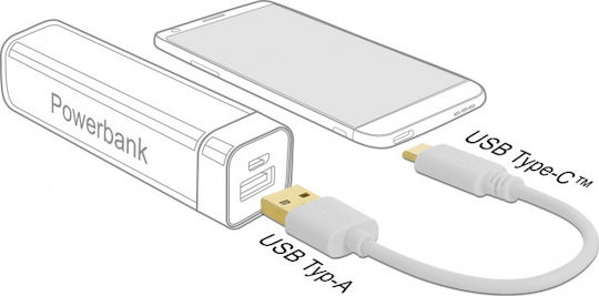 DeLock Converter USB-A male to USB-C male White 1pcs (85355)