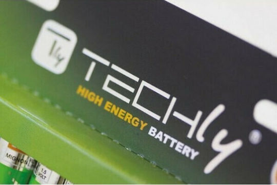 Techly Alkaline Batterien AA 1.5V 24Stück IBT-KAP-LR06-B24T