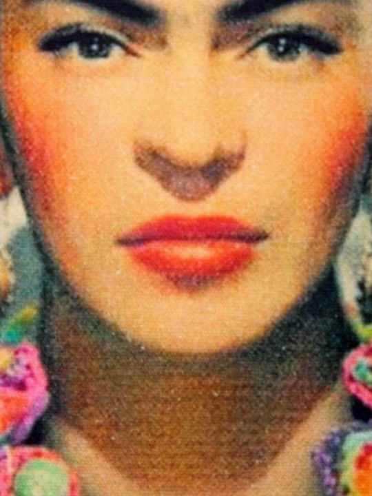 Synchronia Frida Kahlo Cotton Shopping Bag in Gray color