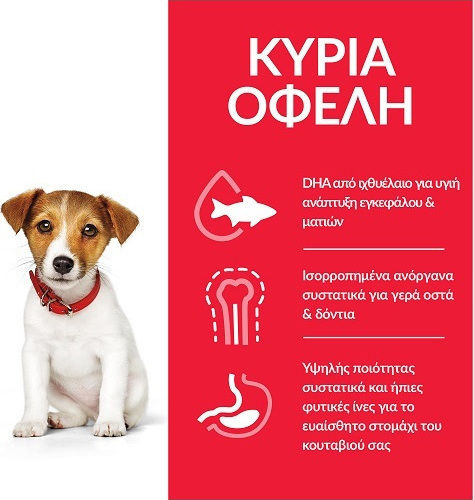 Hill's Science Plan Puppy <1 Small & Mini 1.5kg Dry Food Gluten-Free for Small Breed Puppies with Chicken