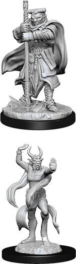 WizKids Dungeons & Dragons Nolzur's Marvelous Miniatures Unpainted Figures Hobgoblin Devastator & Hobgoblin Iron Shadow