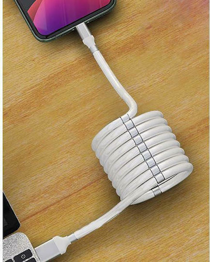 Powertech Regulär USB 2.0 auf Micro-USB-Kabel Weiß 1m (PTR-0085) 1Stück