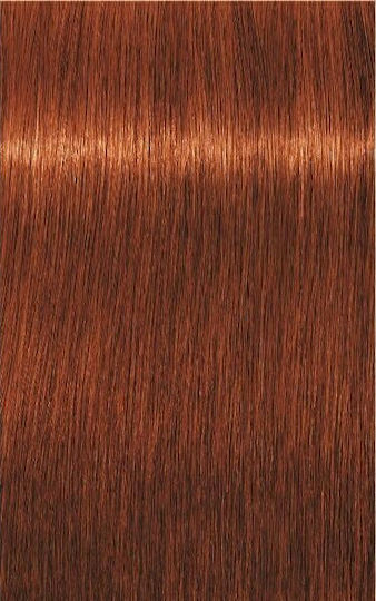 Schwarzkopf Igora Royal Боя За Коса 6-77 Тъмно Интензивно Медно Русо 60ml