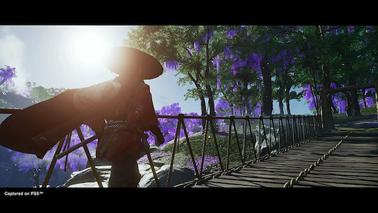 Ghost of Tsushima Director's Cut Edition PS5-Spiel