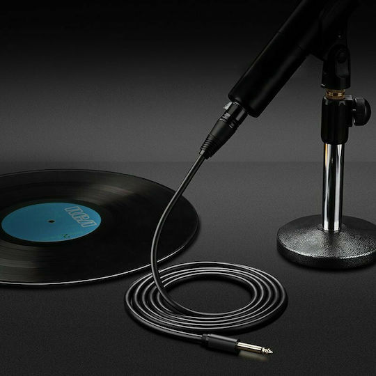 Ugreen AV131 XLR female to 6.3mm male 2m Cable (20719)