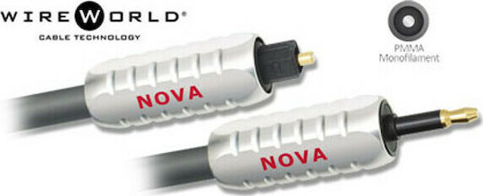 Wireworld Optical Audio Cable TOS male - mini TOS male Μαύρο 1m ()