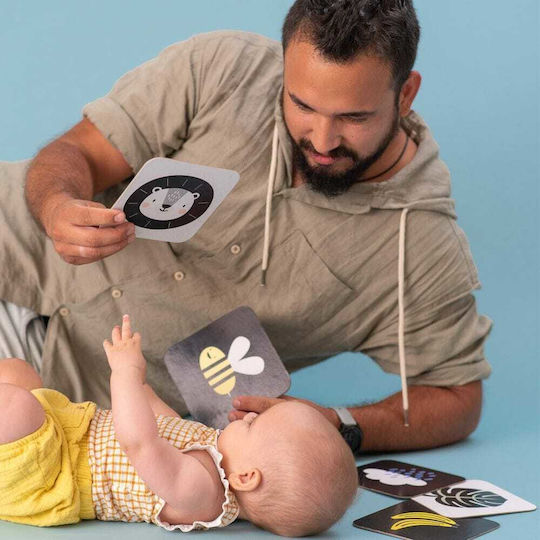 Taf Toys Activity Book My 1st Tummy-Time Cards for 0++ Months