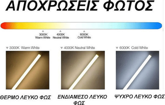 Diolamp LED Bulb 15W 118mm for Socket E27 and Shape A60 Cool White 1380lm