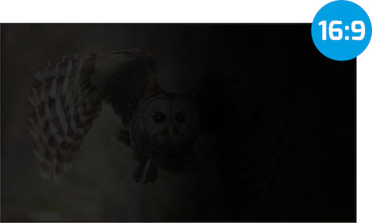 Natec Owl Φίλτρο Οθόνης