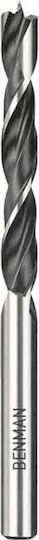 Benman Drill with Hexagonal Shank for Wood 6x235mm