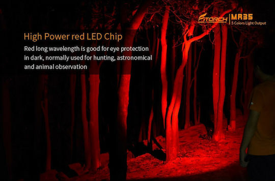 Fitorch Rechargeable Flashlight LED UV IPX8 with Maximum Brightness 1200lm MR35 2xCR123A Black