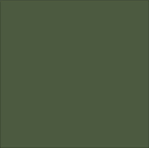 Royal Talens Extra Fine Tempera Paints Olive Green 620 in Tube 20ml 1pcs