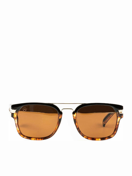 Olympus Sunglasses Gaia Sunglasses Brown with Mixed Frame & Brown Lens Olympus Sunglasses Gaia Sunglasses Brown with Mixed Frame & Brown Lens