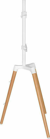 Nedis TVSM7060WT Βάση Τηλεόρασης Δαπέδου έως 65" και 35kg White
